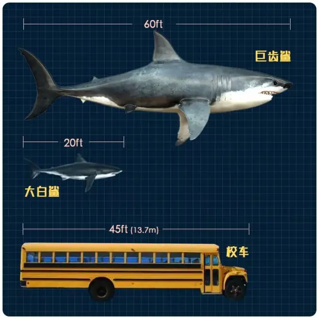比起巨齿鲨,斯皮尔·伯格的大白鲨就是个渣渣