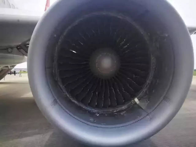 飞机迫降!机长、空姐、乘客、3D动画还原空中惊魂40分钟