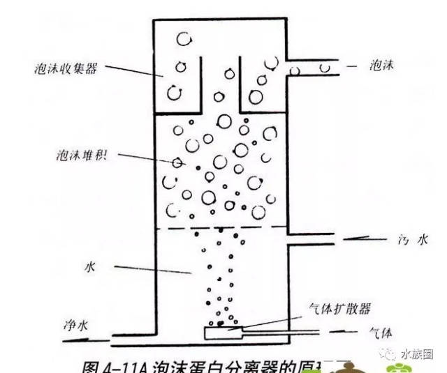 蛋白质分离器的原理