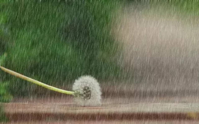 【青生活】@福清人 淅沥淅沥,下雨雨雨雨雨了,请注意做好防范措施!