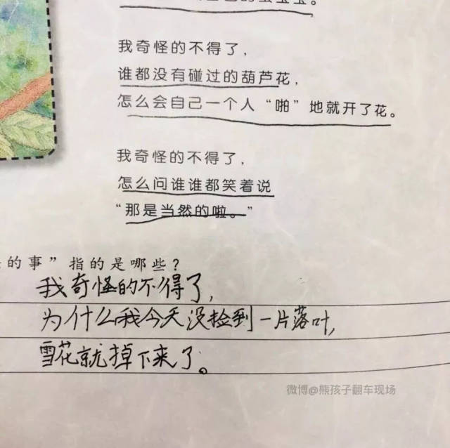 我奇怪的不得了,为什么小学生的文案总能幽默又经得起