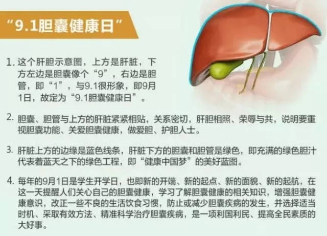 【9月1日胆囊健康日】"愿人人拥有健康胆囊"——河南东海医院专家教您