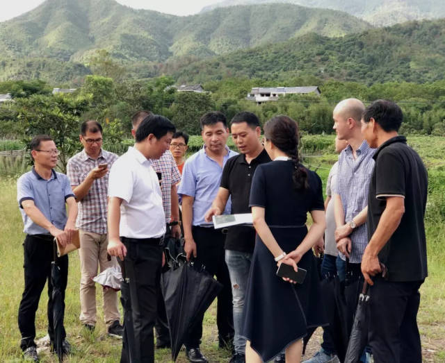 岩头镇党委副书记,镇长周旭亮,副镇长余东海等陪同.