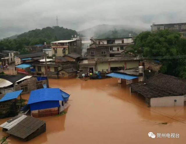 八步区仁义,信都镇受暴雨影响,1.3万人受灾,救援正在进行.