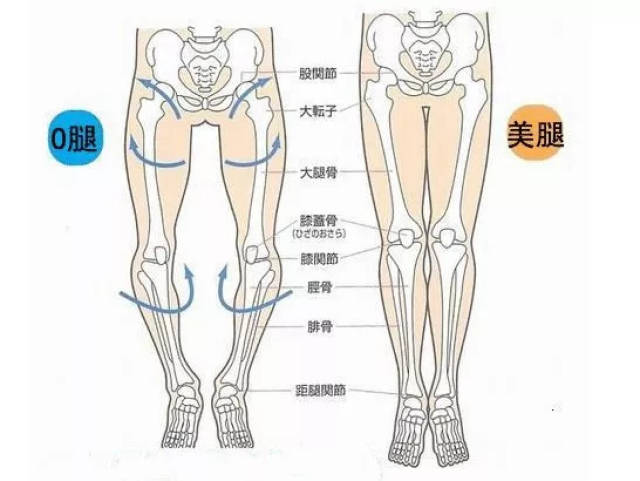 长期跷二郎腿,会导致腿部曲线变形,影响整体的形象.难看的o