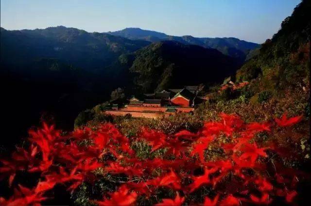 每到秋天,武当仙山境内漫山遍野的叠翠,在雨露,风霜,大雾的浸润下,在