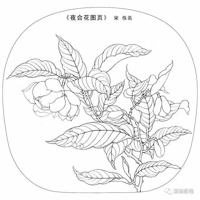 宋画,锦鸡,鸡,鸳鸯白描大图,太全了(临摹必备素材~)