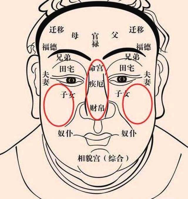 这种面相不仅是有福的象征,更是"钱"程无限