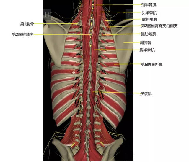 上后背痛到底怎么办?