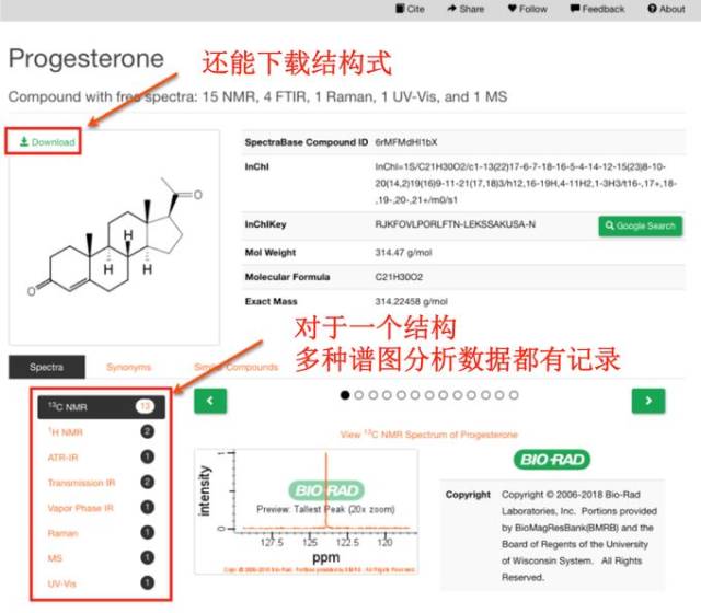 検索例:progesterone的例子