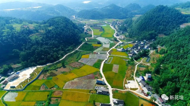 猫儿乡洞里村村党支部书记 石小兰 猫儿乡洞里村从20世纪七十年代至今