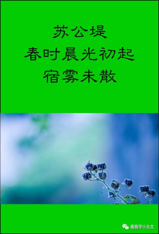 小古文诵读·苏堤杂花(100-53)