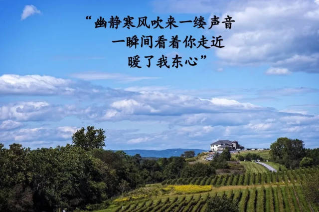 抖音刷爆MV《投降吧》:人生很短,珍惜爱你的人