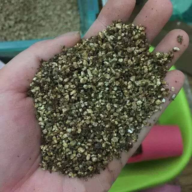 多肉配土比例分享,不会配的必看!能养出美腻的果冻色!