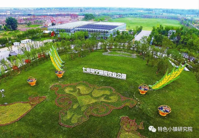 农业公园和农业嘉年华,本质上有什么共通之处?