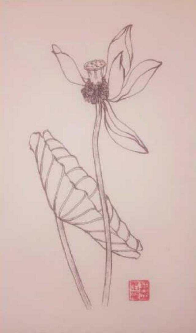 第六百五十三幅——残荷(中性笔白描花卉小品)