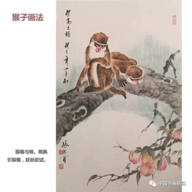 【国画技法】猴子的画法.