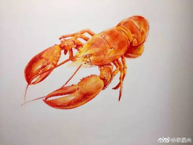 你要的小龙虾彩铅教程,画着画着就饿了