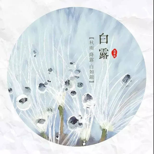 从白露这一天起,一年之中最秋天的时节到了.