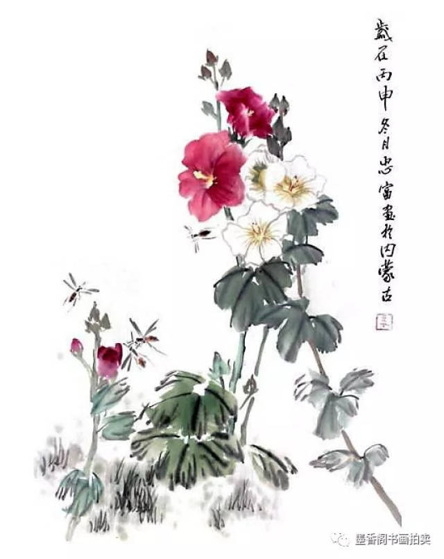 国画技法:蜀葵花的画法步骤,这样画出它的观赏性,好美