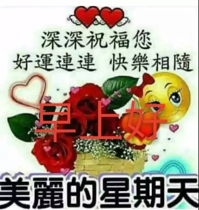 早上好的问候语大全 早上好表情动态图片