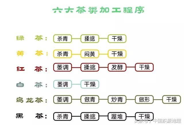 一张图看懂六大茶类的加工工艺!