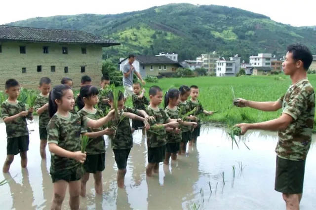 7月26日,厦门"农耕研学夏令营"的孩子们在农耕文化体验活动中学习插秧