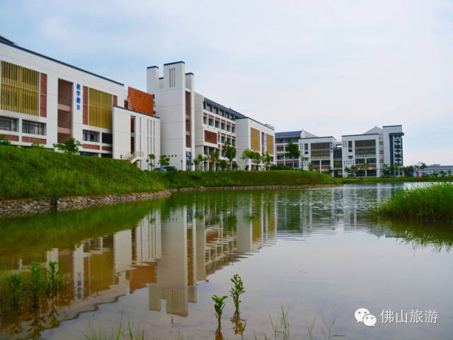 佛山,欢迎你 在佛山,读书和赏景兼可得,在朴实低调的大学校园,总有一