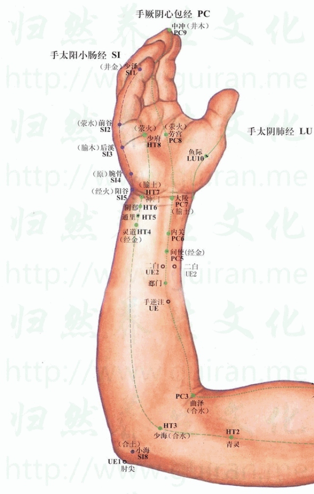 600_945竖版 竖屏gif 动态图 动图