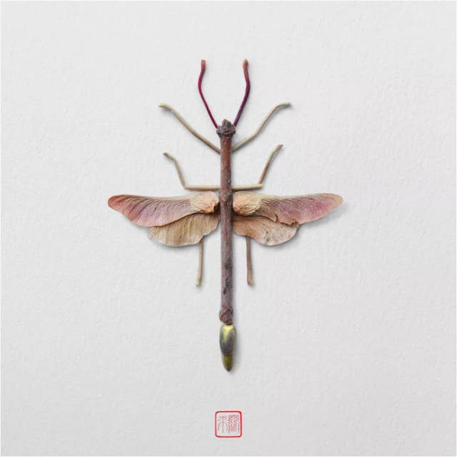 萌都听说过昆虫的"拟态" 比如能模仿叶子的枯叶蝶 能模仿树枝的竹节虫