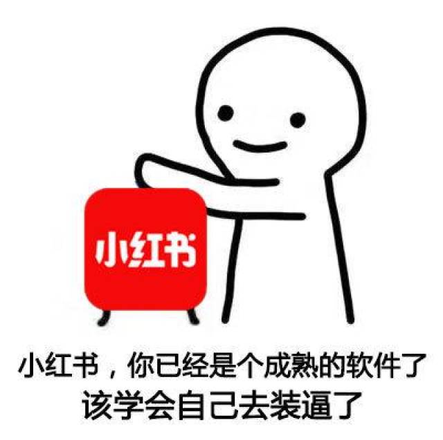 小红书,你们已经是成熟的软件了,该学会自己去装x了