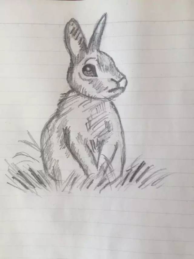 TED演讲 | 凭什么你认为自己不会画画?