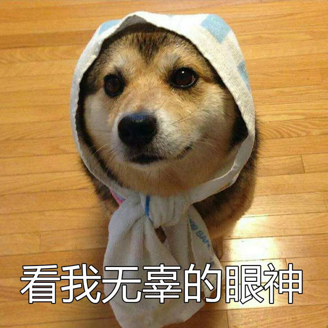 哈哈哈,这些脑筋急转弯,承包了我一年的笑点!