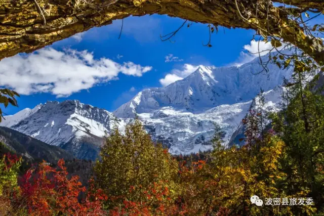 有一种美,叫波密的秋天,你从未见过的西藏秋色-旅游