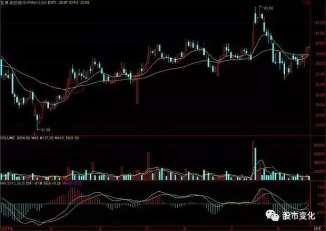 expma指標的實戰技巧全解析，很實戰的指標用得人卻不多！