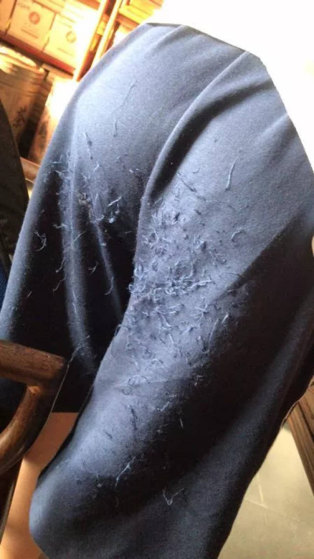 东莞某学校的校服竟然是"乞丐装"?开学第一天就收到超