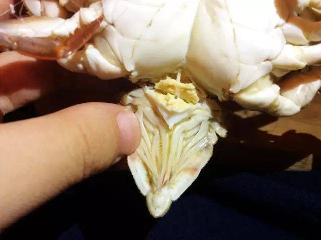打开螃蟹的壳,里面有一个三角形的部位,这是蟹胃,不可吃,扔掉.