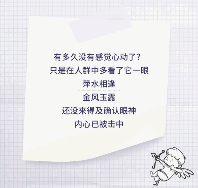 糟糕是心动的感觉免费阅读全文小说 糟了是心动的感觉