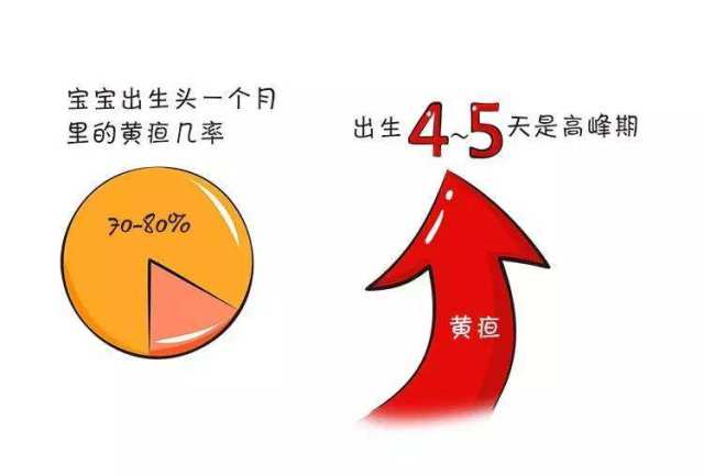 (3)新生儿:一般情况好,无贫血,肝脾不肿大肝功能正常,不发生核黄疸.