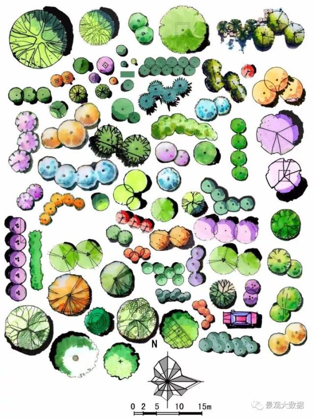属于设计手绘常用素材库 01  手绘植物素材库 组团植物(乔木 灌木