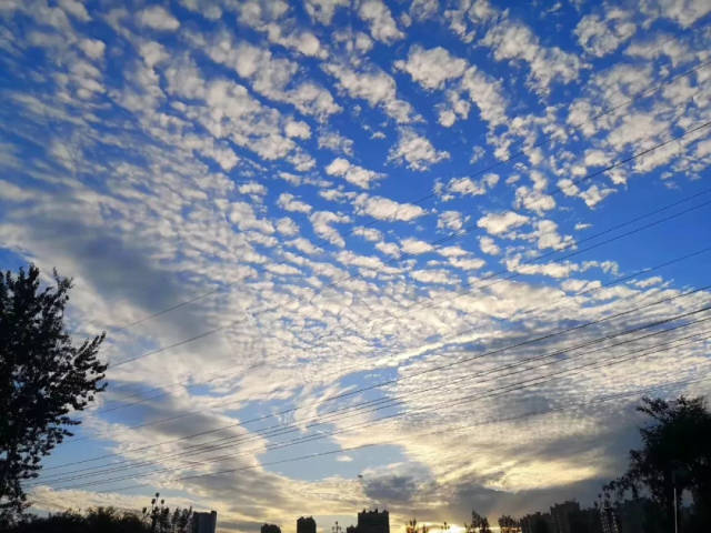 聊城惊现"天空之境",刷爆朋友圈!并非地震云,而是