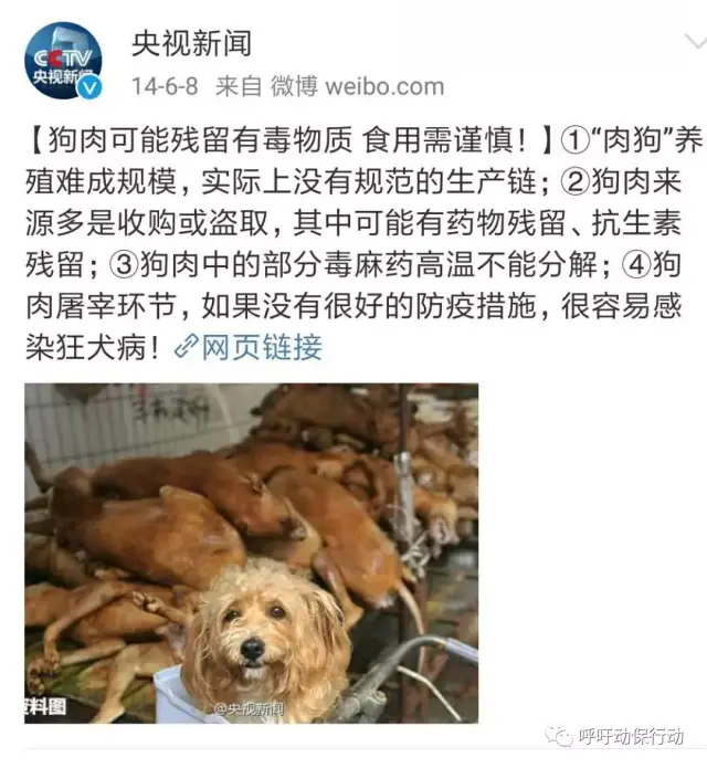 中国一直"妖魔化"狂犬病,其实并没有那么可怕,请看权威解读!