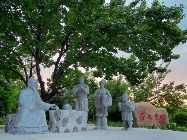 校园美景还有你不知道的!
