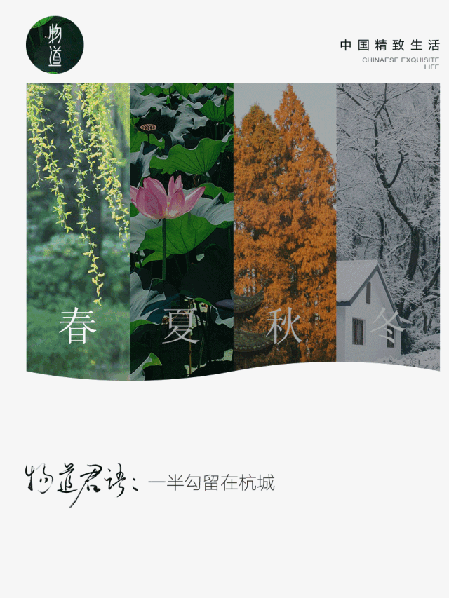 她镜头下的杭州,藏尽中国最美的春夏秋冬