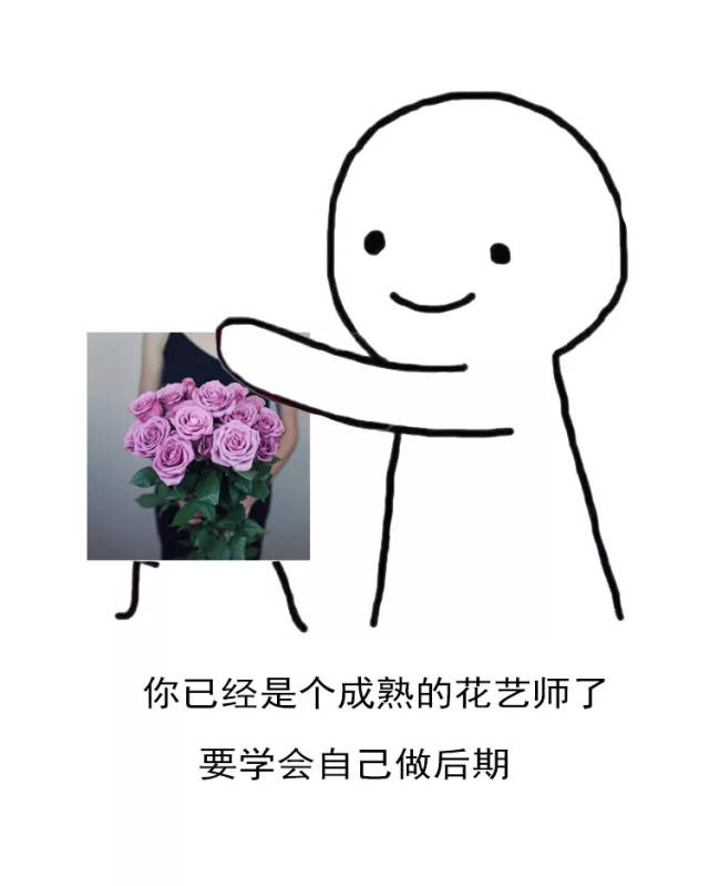 花艺师系列表情包_手机搜狐网