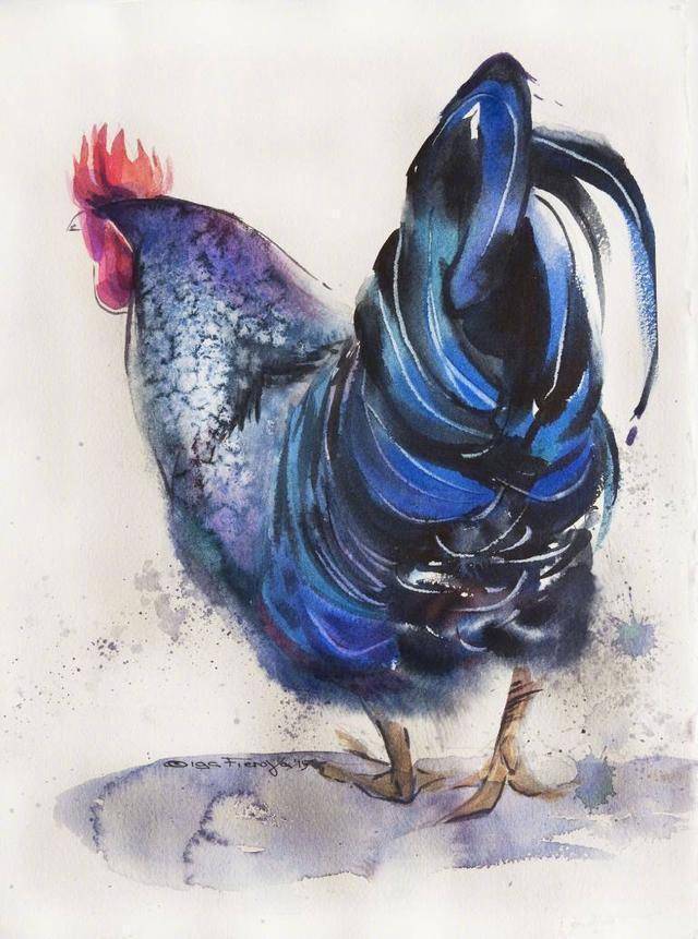 俄罗斯水彩艺术家olga flerova笔下的鸡:神态逼真,惹人喜爱!