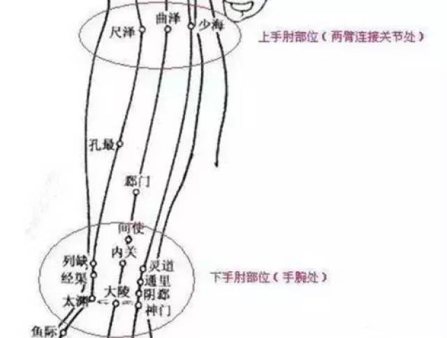 大腿后侧是风市,承扶穴位置. 小腿后侧是委中,委阳,承山穴位置.