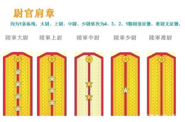 并有区分军衔等级的星徽和横线,尉级军官为一道黄色横线,校级军官为两