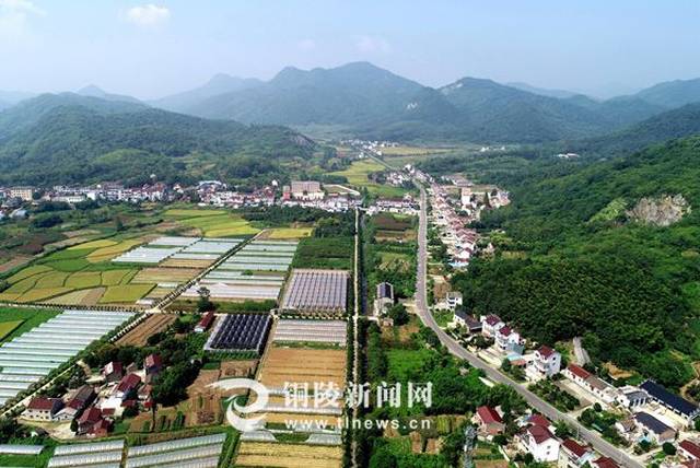 农林村 搜狐网