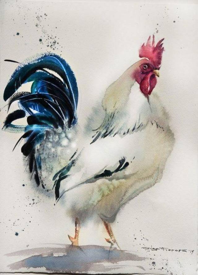 俄罗斯水彩艺术家olga flerova笔下的鸡:神态逼真,惹人喜爱!